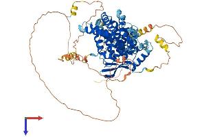 AlphaFold protein structure predicition of Human Recombinant TCF25 Protein, UniprotID Q9BQ70