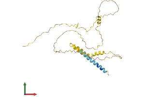 AlphaFold protein structure predicition of Human Recombinant SYNDIG1 Protein, UniprotID Q9H7V2