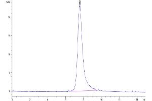 The purity of Biotinylated Human LILRA2 is greater than 95 % as determined by SEC-HPLC.