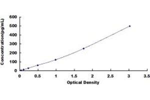 Typical standard curve (FGF10 Kit ELISA)