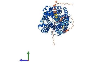 AlphaFold protein structure predicition of Human Recombinant SLC6A8 Protein, UniprotID P48029