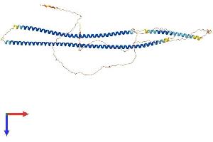 AlphaFold protein structure predicition of Mouse Recombinant Krt6b Protein, UniprotID Q9Z331