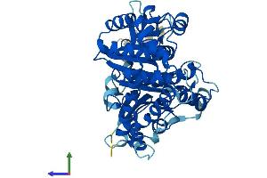 AlphaFold protein structure predicition of Human Recombinant TUBAL3 Protein, UniprotID A6NHL2