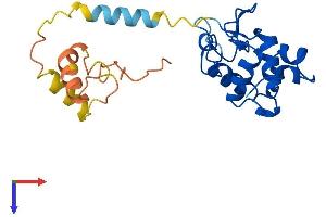 AlphaFold protein structure predicition of Mouse Recombinant Spaca3 Protein, UniprotID Q9D9X8