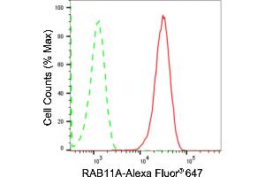 Flow cytometric analysis of RAB11A expression in HAP-1 cells using RAB11A antibody (ABIN7800089), 1:2,000). (Recombinant RAB11A anticorps)