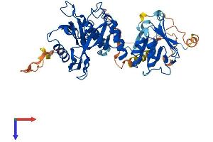AlphaFold protein structure predicition of Mouse Recombinant Sufu Protein, UniprotID Q9Z0P7