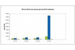 Image no. 2 for anti-Folate Hydrolase (Prostate-Specific Membrane Antigen) 1 (FOLH1) (AA 44-750) antibody (PE) (ABIN614249) (PSMA anticorps  (AA 44-750) (PE))