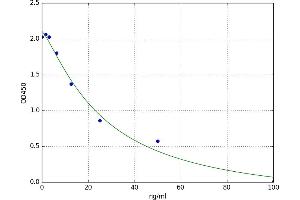 Aquaporin 2 (Collecting Duct) (AQP2) ELISA Kit