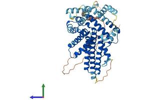 AlphaFold protein structure predicition of Mouse Recombinant Dgat1 Protein, UniprotID Q9Z2A7