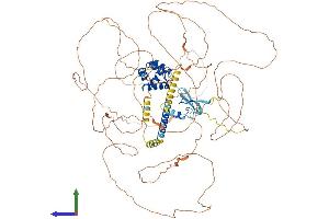 AlphaFold protein structure predicition of Mouse Recombinant Phc2 Protein, UniprotID Q9QWH1