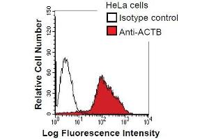 HeLa cells were fixed in 2% paraformaldehyde/PBS and then permeabilized in 90% methanol.