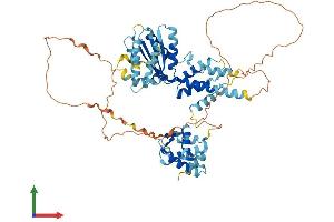 AlphaFold protein structure predicition of Human Recombinant CDC6 Protein, UniprotID Q99741