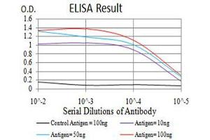 Fig. (Histone Cluster 2, H4a (HIST2H4A) anticorps)