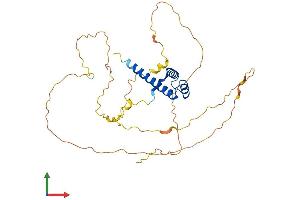 AlphaFold protein structure predicition of Mouse Recombinant Hoxc10 Protein, UniprotID P31257
