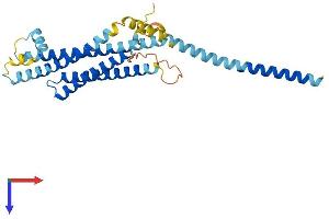 AlphaFold protein structure predicition of Mouse Recombinant Stx4 Protein, UniprotID P70452