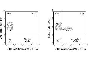 Flow Cytometry (FACS) image for anti-CD40 Ligand (CD40LG) antibody (FITC) (ABIN370946) (CD40 Ligand anticorps  (FITC))