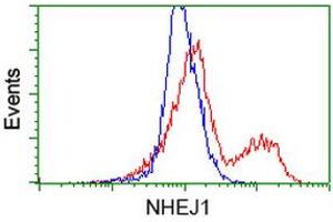 HEK293T cells transfected with either RC203393 overexpress plasmid (Red) or empty vector control plasmid (Blue) were immunostained by anti-NHEJ1 antibody (ABIN2453928), and then analyzed by flow cytometry. (NHEJ1 anticorps)