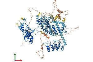 AlphaFold protein structure predicition of Mouse Recombinant Slf1 Protein, UniprotID Q8R3P9