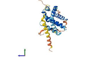 AlphaFold protein structure predicition of Mouse Recombinant Bcl2 Protein, UniprotID P10417