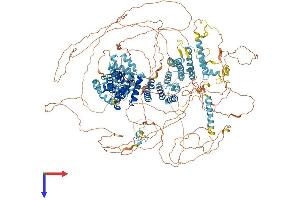 AlphaFold protein structure predicition of Mouse Recombinant Eif4g1 Protein, UniprotID Q6NZJ6