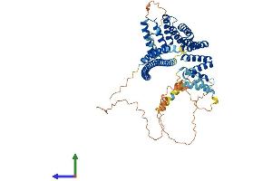 AlphaFold protein structure predicition of Mouse Recombinant Klc2 Protein, UniprotID O88448