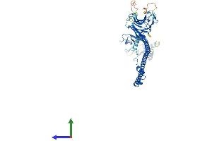 AlphaFold protein structure predicition of Human Recombinant TRIM6 Protein, UniprotID Q9C030