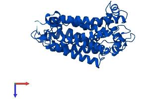 AlphaFold protein structure predicition of Human Recombinant MT-CYB Protein, UniprotID P00156