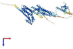 AlphaFold protein structure predicition of Human Recombinant ARHGEF37 Protein, UniprotID A1IGU5