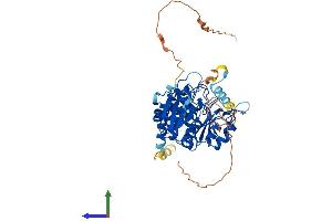 AlphaFold protein structure predicition of Human Recombinant CDC14B Protein, UniprotID O60729