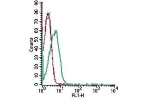 Cell surface detection of SLC19A1 in live intact human Jurkat T-cell leukemia cells: (black line) Cells.