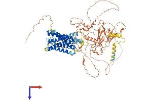 AlphaFold protein structure predicition of Mouse Recombinant Gpr149 Protein, UniprotID Q3UVY1