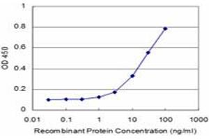 Detection limit for recombinant GST tagged PRDM1 is approximately 1ng/ml as a capture antibody. (PRDM1 anticorps  (AA 1-109))