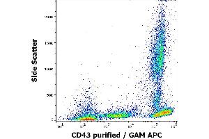 Flow cytometry surface staining pattern of human peripheral blood stained using anti-human CD43 (MEM-59) purified antibody (concentration in sample 2 μg/mL, GAM APC). (CD43 anticorps)