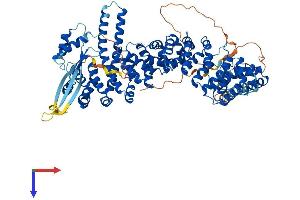 AlphaFold protein structure predicition of Human Recombinant KIFAP3 Protein, UniprotID Q92845