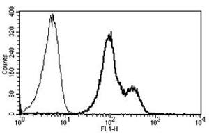 Flow Cytometry (FACS) image for anti-Integrin alpha-L (ITGAL) antibody (FITC) (ABIN1105774) (ITGAL anticorps  (FITC))