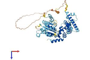 AlphaFold protein structure predicition of Human Recombinant KATNAL1 Protein, UniprotID Q9BW62