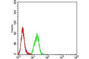 Flow cytometric analysis of Hela cells using SYK mouse mAb (green) and negative control (red).