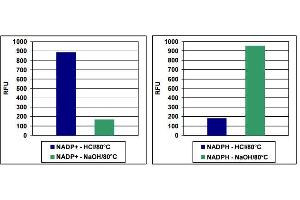 NADP+ /NADPH Detection. (NADP+/NADPH Assay Kit (Fluorometric))