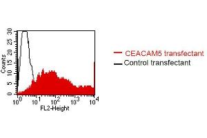 FACS analysis of BOSC23 cells using 26/3/13.