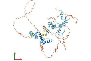 AlphaFold protein structure predicition of Human Recombinant ZNF18 Protein, UniprotID P17022