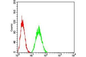 Flow cytometric analysis of Hela cells using LDLR mouse mAb (green) and negative control (red).