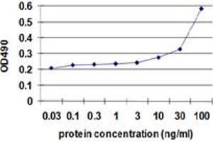 Sandwich ELISA detection sensitivity ranging from 10 ng/ml to 100 ng/ml. (ENO1 (Humain) Matched Antibody Pair)