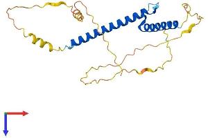 AlphaFold protein structure predicition of Human Recombinant NEUROG1 Protein, UniprotID Q92886