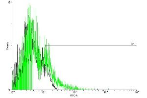 FACS analysis of negative control 293 cells (Black) and F2R expressing 293 cells (Green) using F2R purified MaxPab mouse polyclonal antibody. (PAR1 anticorps  (AA 1-425))