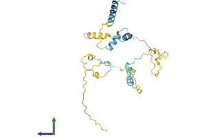 AlphaFold protein structure predicition of Human Recombinant MYOZ2 Protein, UniprotID Q9NPC6