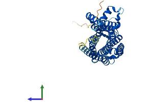 AlphaFold protein structure predicition of Human Recombinant TAAR9 Protein, UniprotID Q96RI9