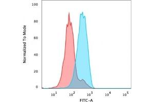 Flow Cytometric Analysis of PFA-fixed MCF-7 cells using FOXA1 Mouse Monoclonal Antibody (FOXA1/1241) followed by goat anti-mouse IgG-CF488 (Blue), Isotype Control (Red). (FOXA1 anticorps  (AA 372-472))