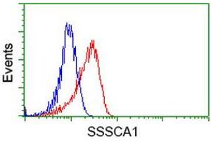 Image no. 2 for anti-Sjogren Syndrome/scleroderma Autoantigen 1 (SSSCA1) antibody (ABIN1501155) (SSSCA1 anticorps)