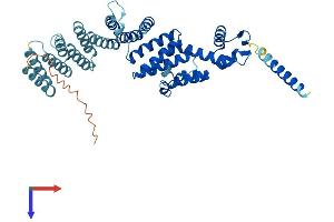 AlphaFold protein structure predicition of Human Recombinant COPS2 Protein, UniprotID P61201
