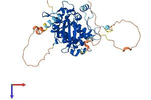 AlphaFold protein structure predicition of Human Recombinant STRADA Protein, UniprotID Q7RTN6